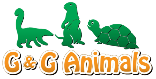 G and G Animals